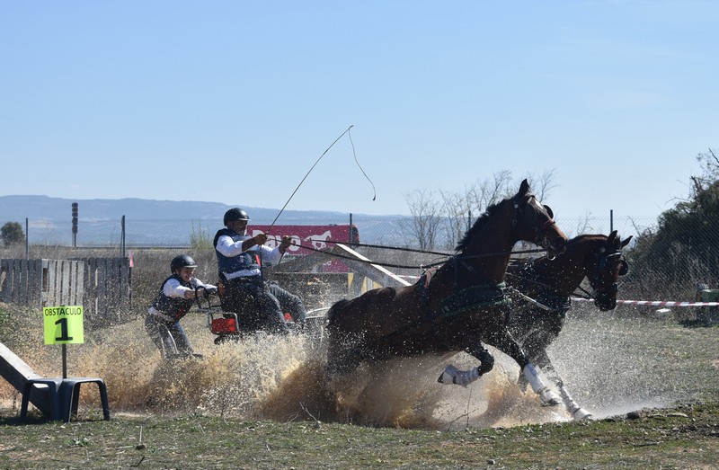 Emoci&oacute;n a las riendas